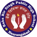 Baba Bir Singh Public School